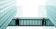 Annual Report 2007/2008