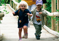 Read the National Childminding Association case study