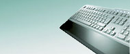 Standard keyboards