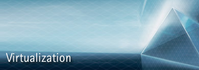 Virtualization