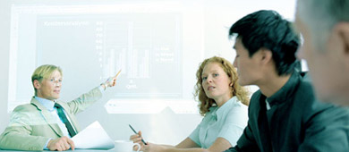 Software Services